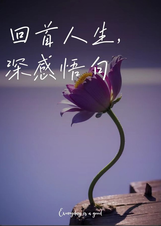 品味人生   作者:老吾