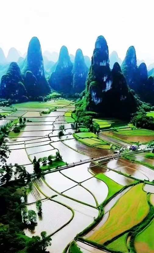 素履以往   作者：老吾