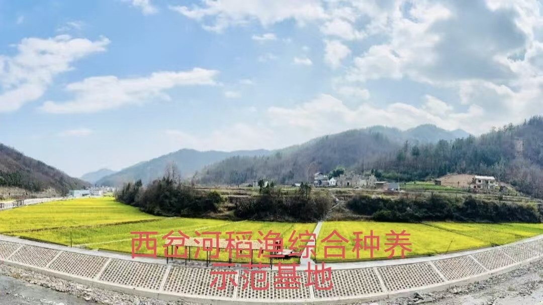 绘就振兴新画卷，谱写发展新篇章—— 旬阳市双河镇近几年发展成效纪实