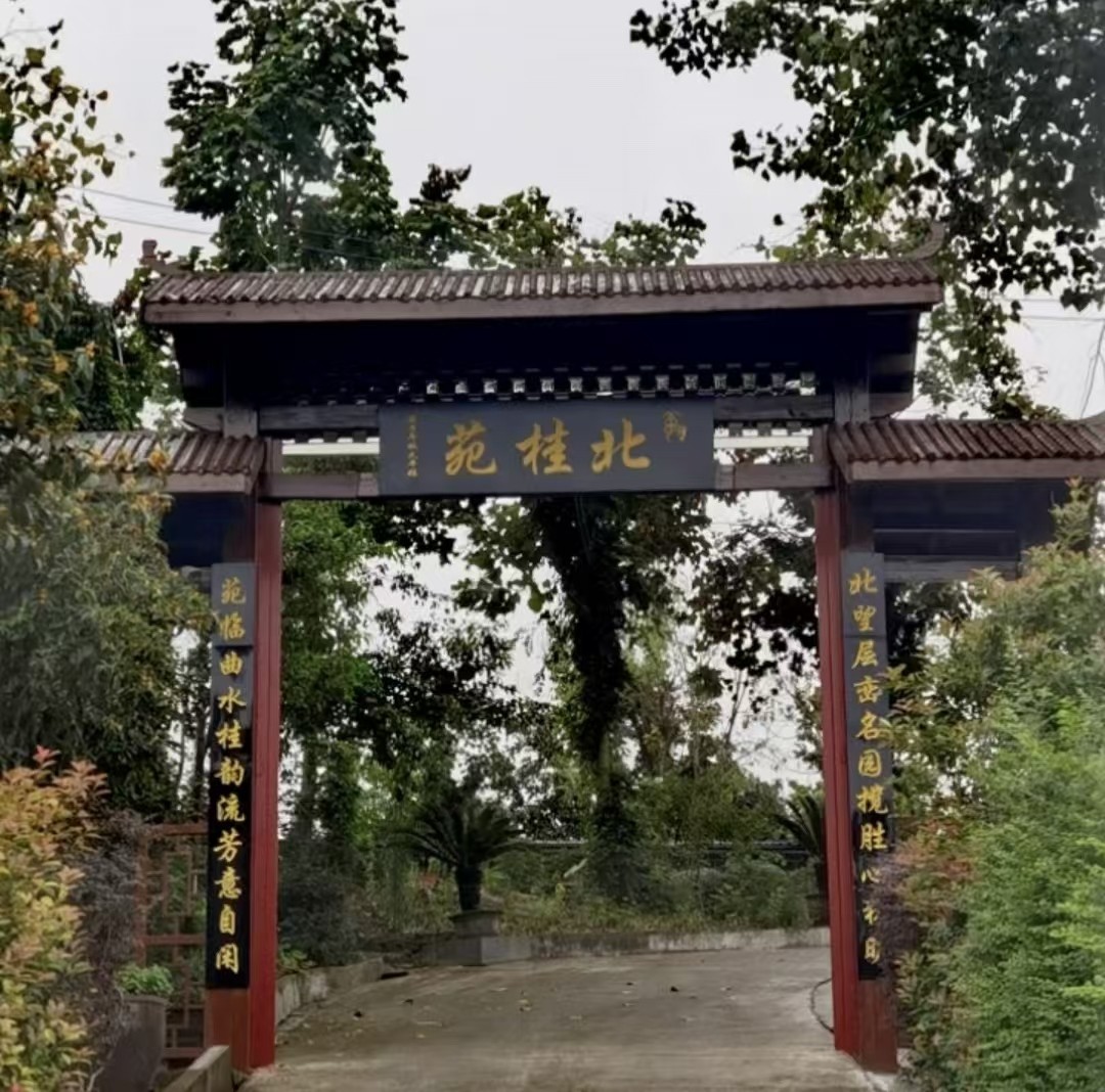 夏日北桂苑   作者：李天平