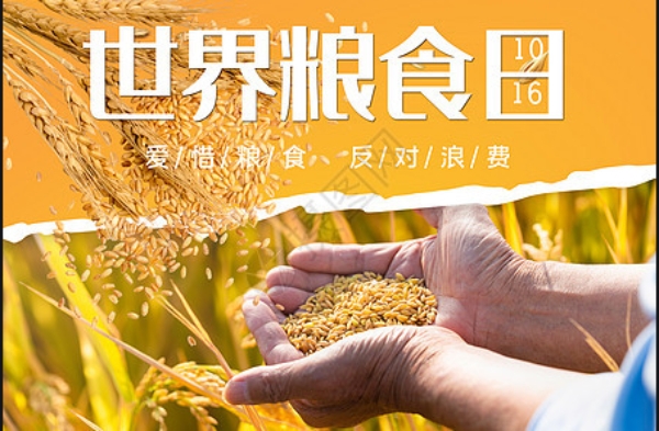 世界粮食日  我们在行动 ——山东省枣庄市市中区君山路小学三年级举行世界粮食日主题中队活动