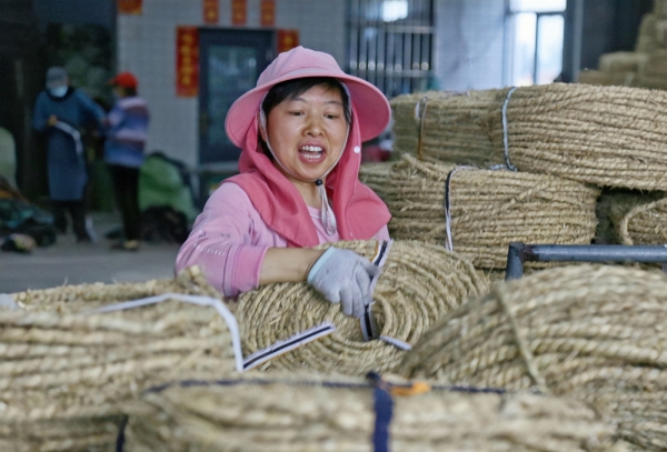 江苏海安：稻草编成绳 环保又增收